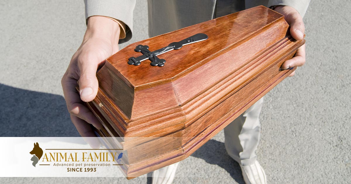 How Much Does Pet Cremation Cost?