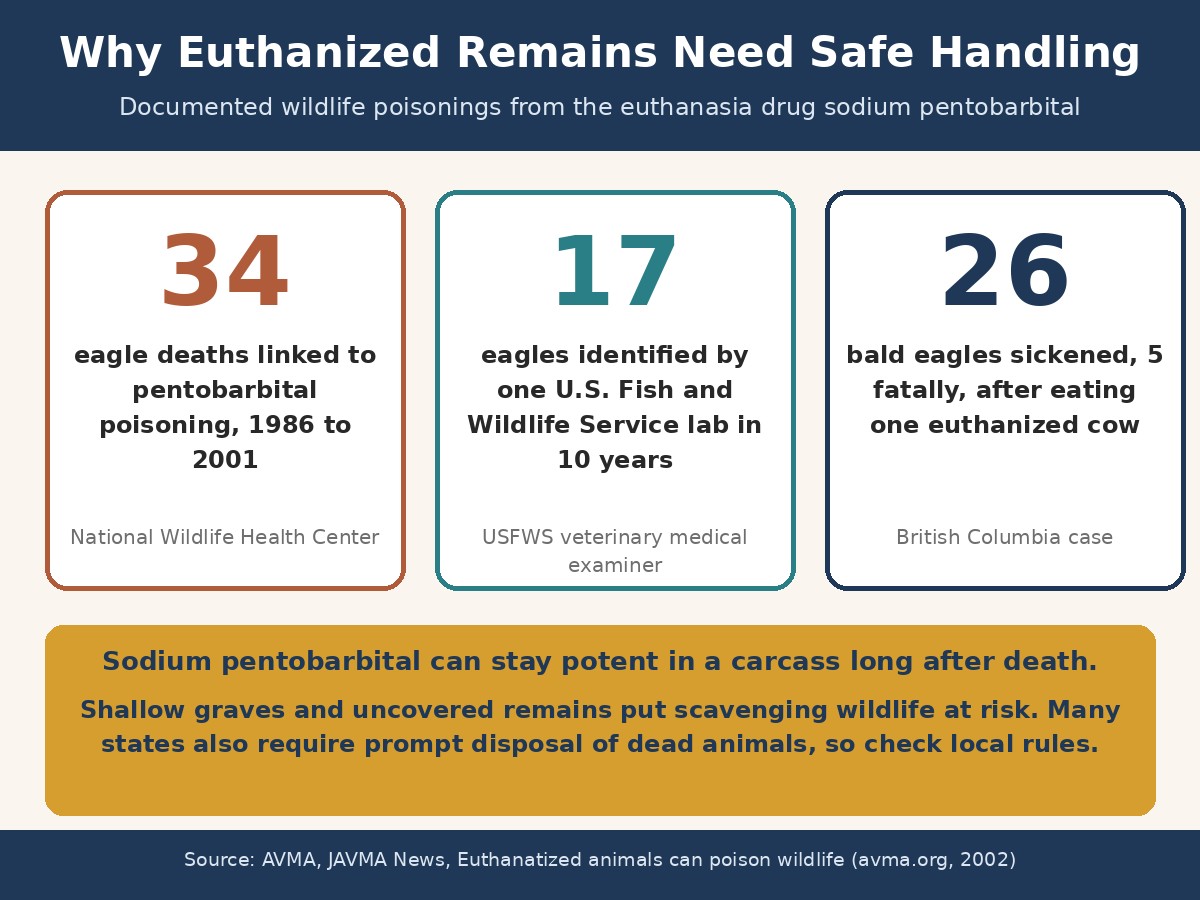 Eagle poisoning data showing why euthanized pet remains need safe handling Infographic of eagle poisoning data from pentobarbital: 34 eagle deaths from 1986 to 2001, 17 eagles identified by one lab in 10 years, and 26 bald eagles sickened after eating one euthanized cow