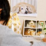 A pet after care after cremation and a photo of a deceased dog