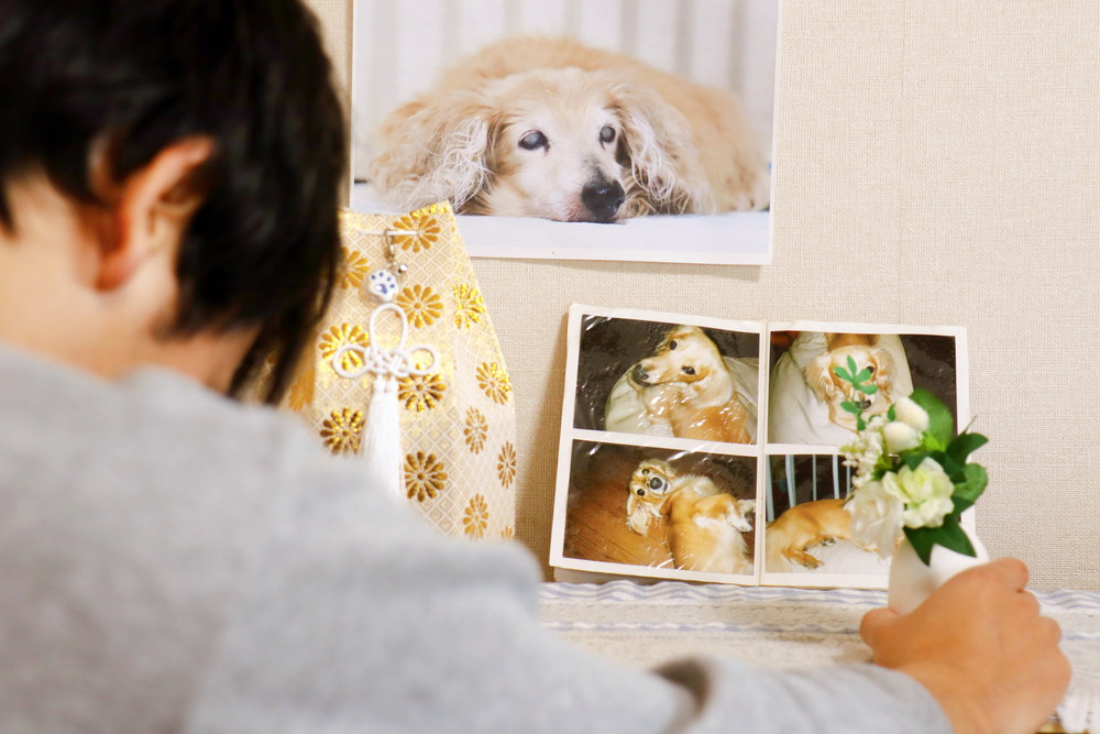 A pet after care after cremation and a photo of a deceased dog