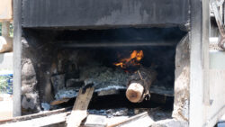 Are There Pet Cremation Services Near Me? Are There Pet Cremation Services Near Me?