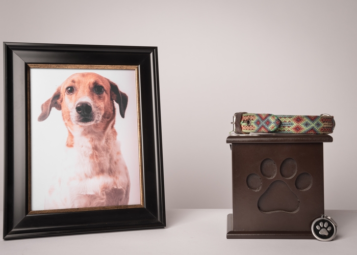 Choosing the Perfect Keepsake: A Guide for Grieving Pet Owners