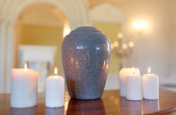 Do You Get Your Pet Back After Cremation? Do You Get Your Pet Back After Cremation?