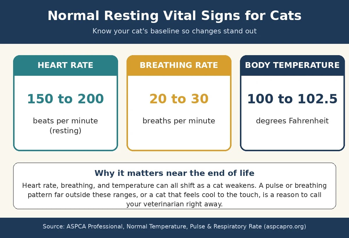 Normal resting vital signs for cats, useful for spotting the signs your cat is dying Chart of normal resting vital signs for cats: heart rate 150 to 200 beats per minute, breathing 20 to 30 breaths per minute, temperature 100 to 102.5 degrees Fahrenheit